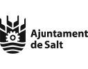 13_Aj. Salt