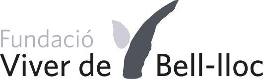 fundació vive bell-lloc